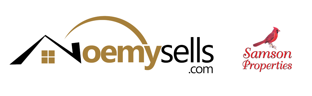 NoemySells.com